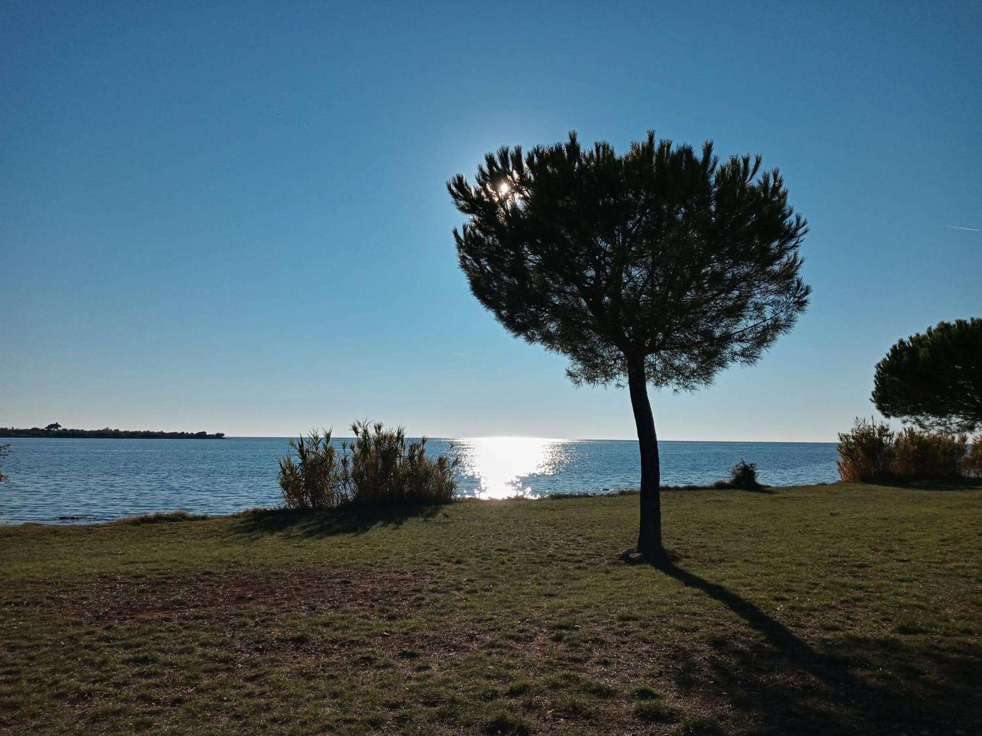 Sole 1 Apartman Novigrad Istria Kültér fotó