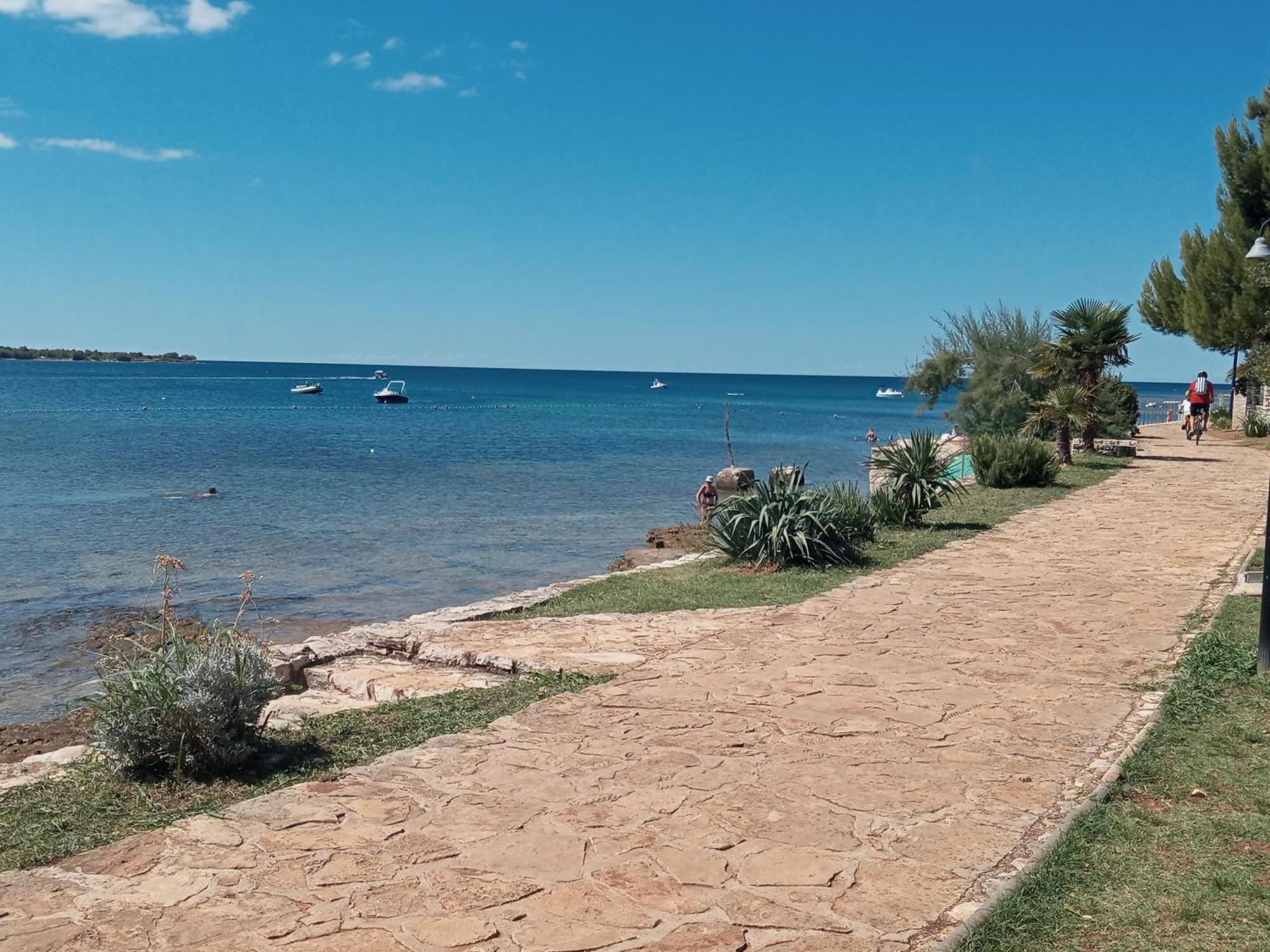Sole 1 Apartman Novigrad Istria Kültér fotó